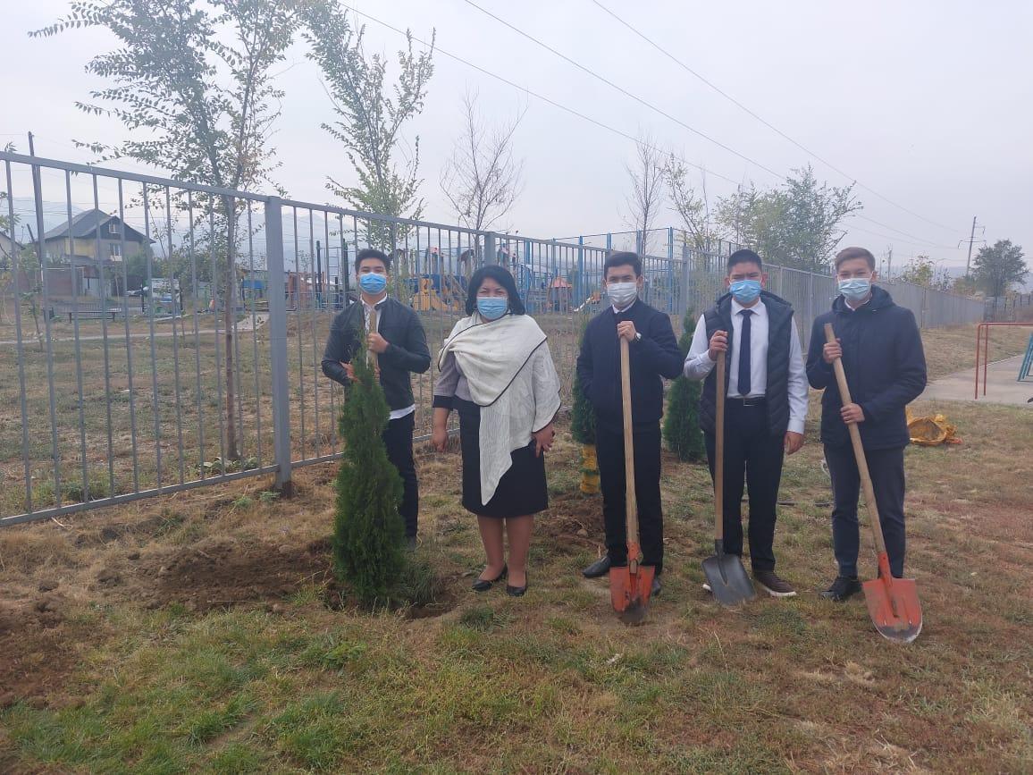 Айнұр Нұрымқызының ұйымдастыруымен 11 сынып оқушыларымен бірлесе отырып, мектеп ауласына 30 түп тұя ағаштары отырғызылды.